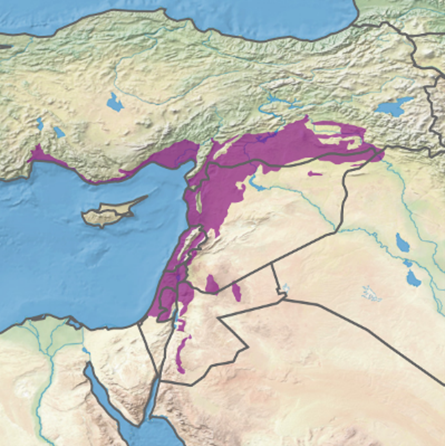 Sürüngen Farkındalık